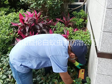 西南住宅环境灭鼠工程
